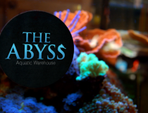 the-abyss-aquatics-thumbnail